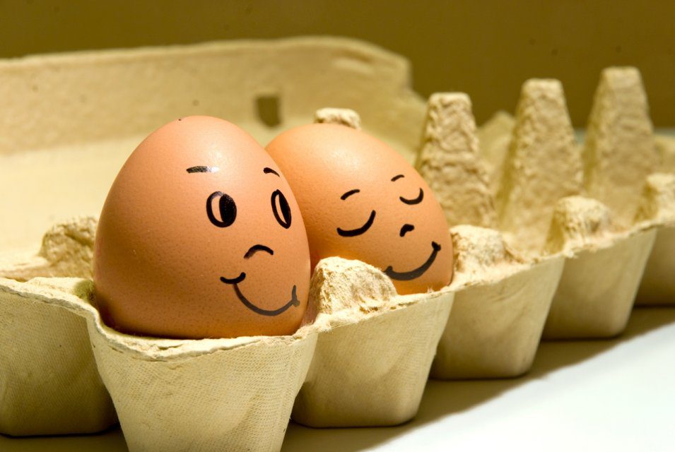 ۵ دلیل برای خوردن تخم‌ مرغ