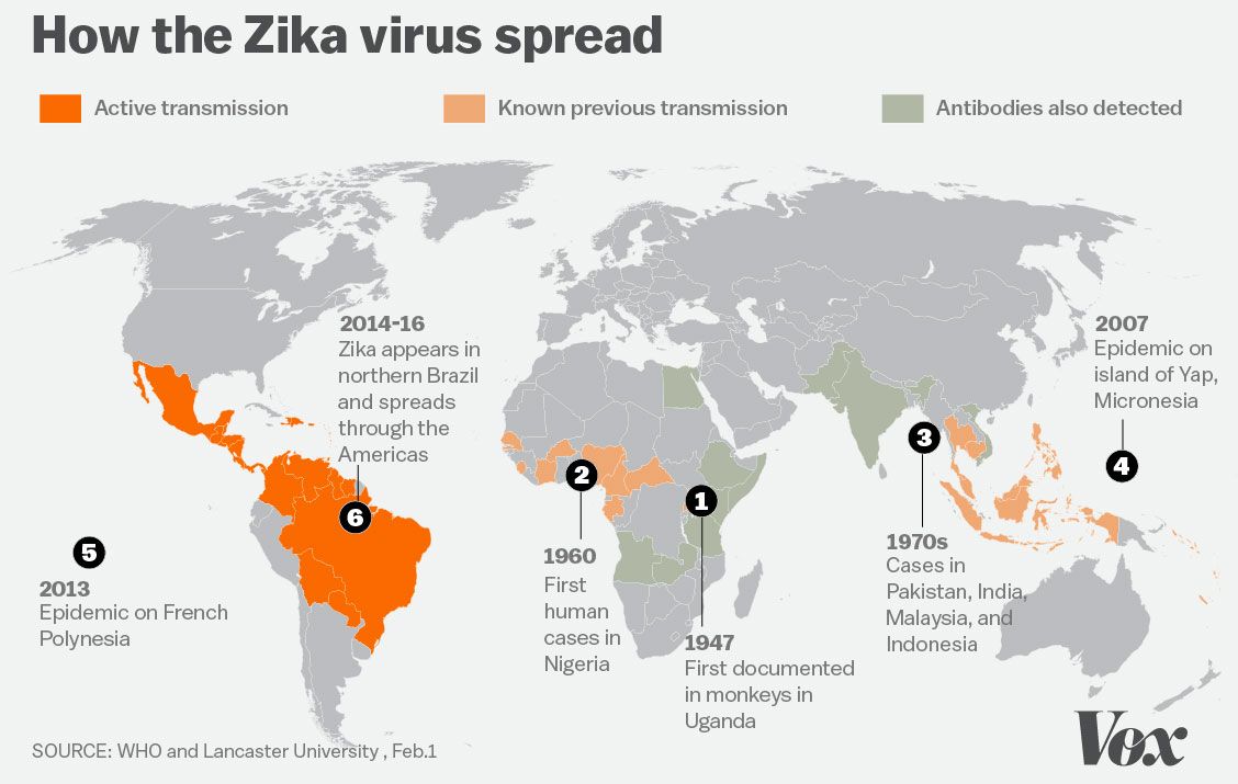 zika_spread_Feb1.0