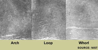 fingerprint_examples-virtualdr.ir