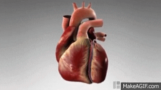 heart-attack-virtualdr.ir
