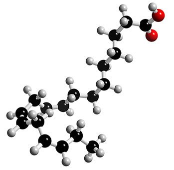 linolenic-acid-virtualdr.ir