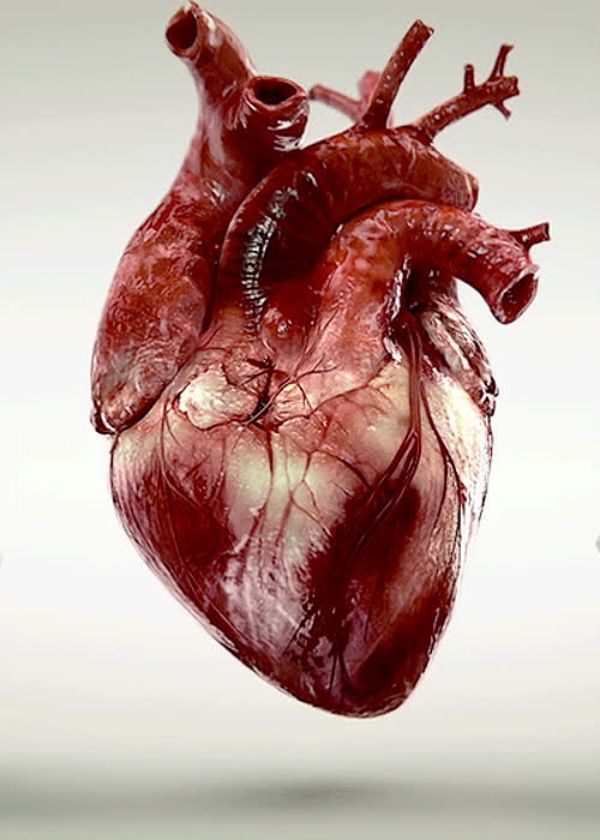heart-virtualdr.ir-دکتر مجازی