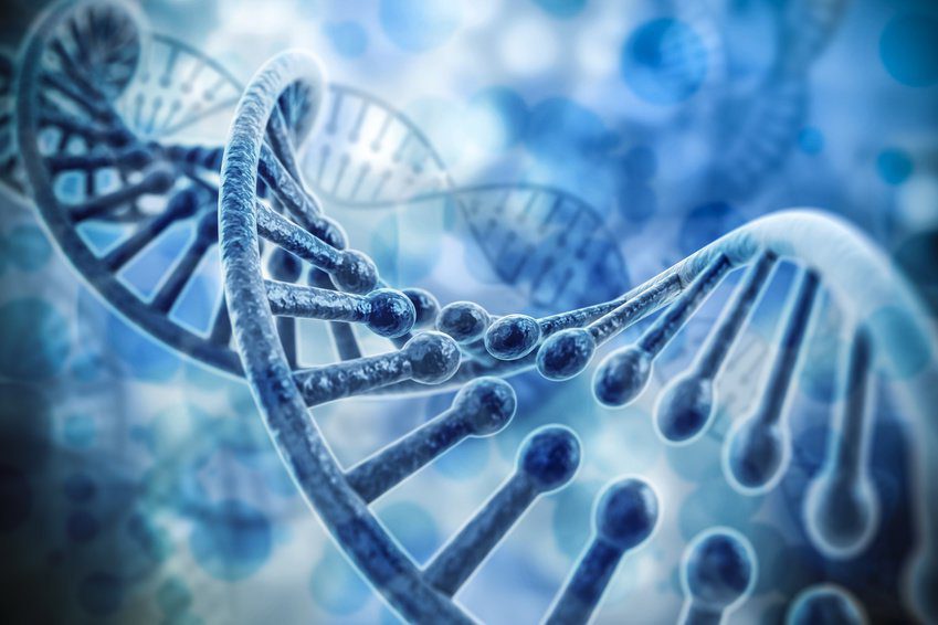 ساختار DNA (تصویر شماتیک). © DigitalGenetics / Fotolia