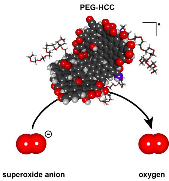 شکل شماتیک مولکول PEG-HCC. همانطور که مشاهده می‌کنید این مولکول با مولکول پراکسید تعامل کرده و بار منفی آن را خنثی ساخته و در نهایت به مولکول اکسیژن تبدیل می کند.
