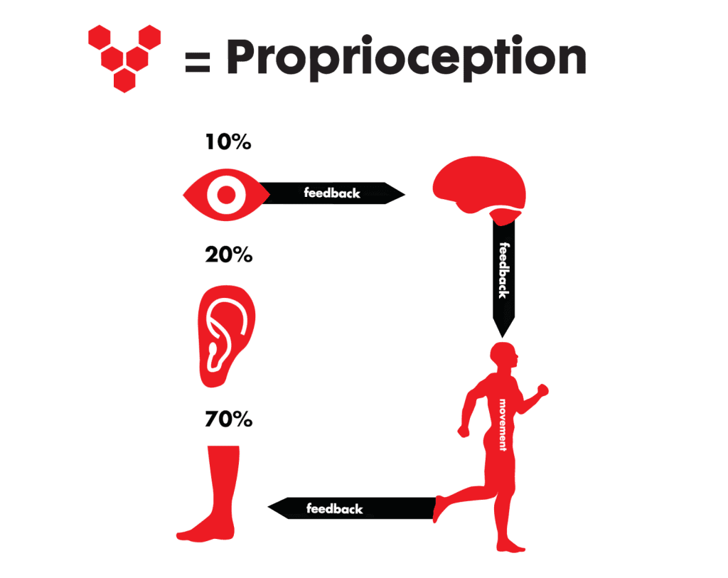 Proprioception به روایت تصویر