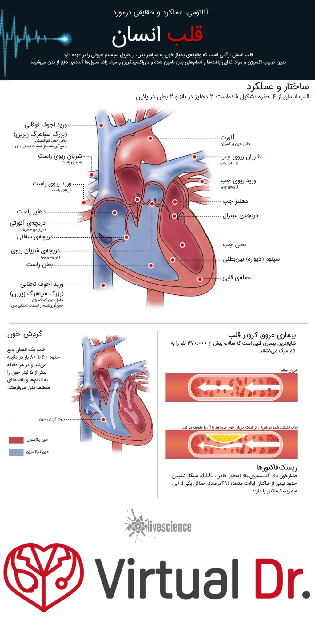 heart-infograph-virtualdr