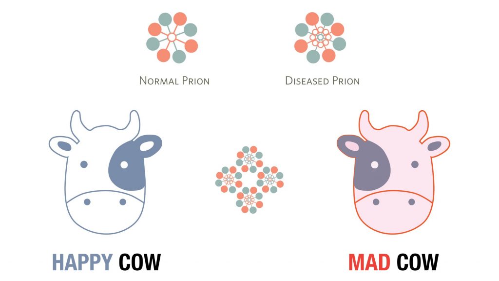 mad-cow-virtual-dr-2