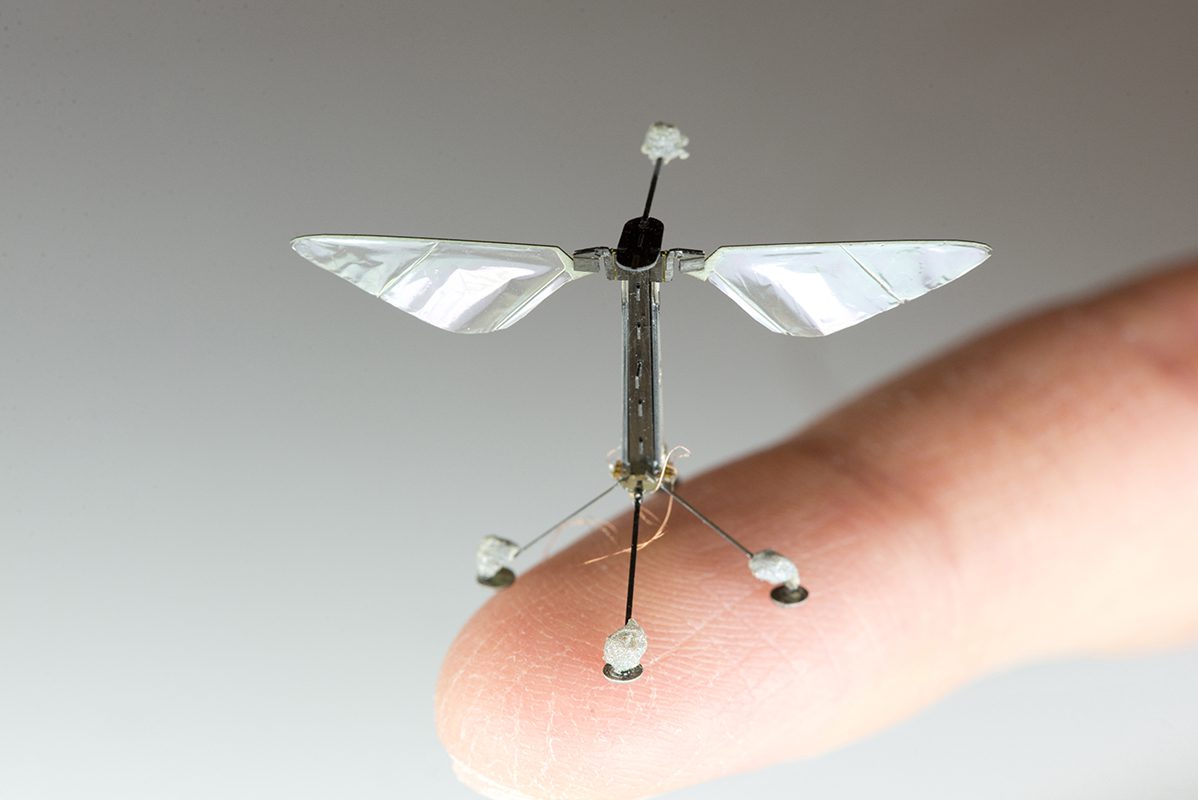 animal-flight-and-flying-drones-01-virtualdr-ir