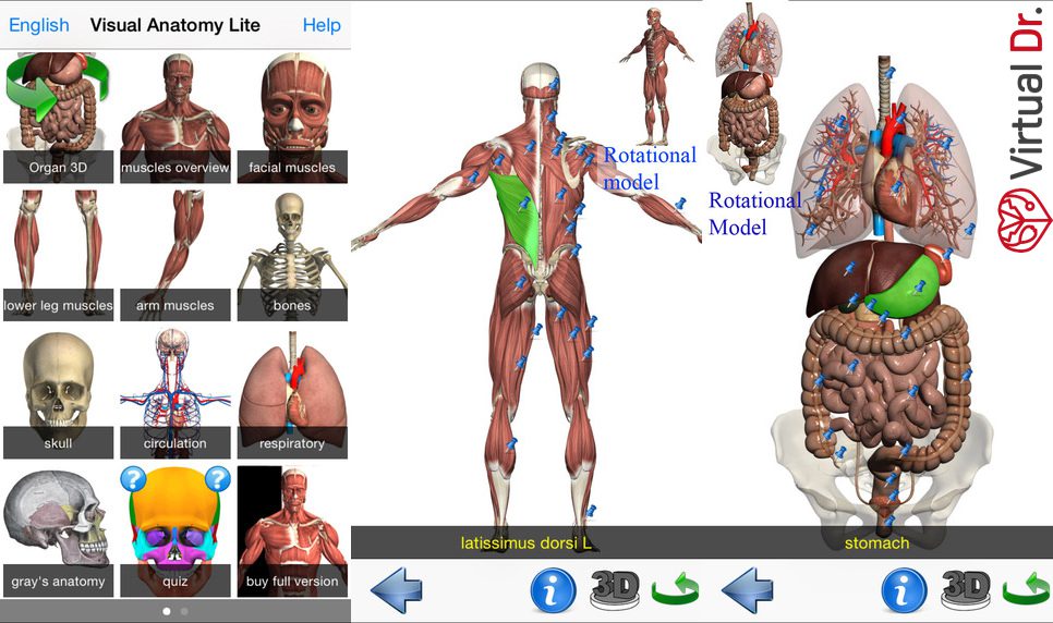 Visual_anatomy_app-virtualdr