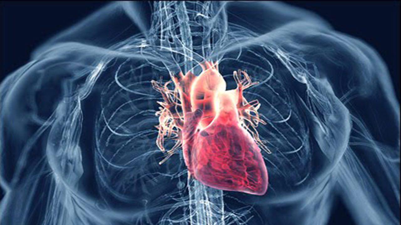 درمان قلب‎های آسیب دیده بوسیله سلول‌های خود ترمیمی - دکتر ...