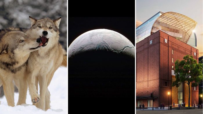 برترین وقایع علمی هفته (19)