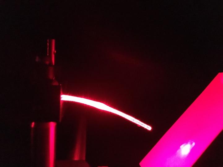 فیبر نوری زیست‌تخریب‌پذیر