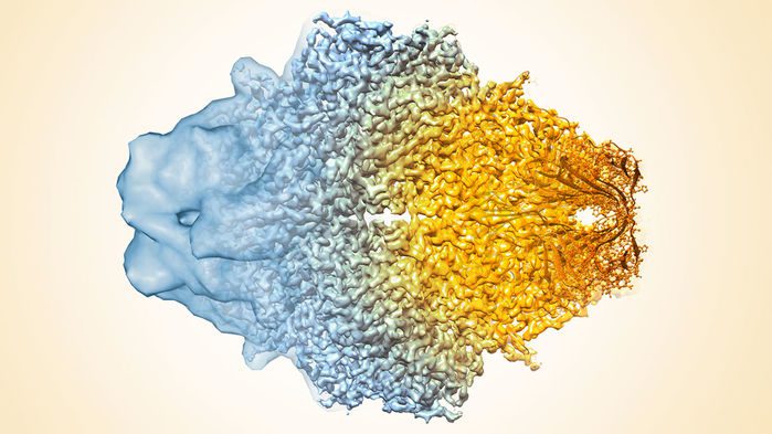 این تصویر ترکیبی از پروتئین بتا-گالاکتوزیداز وضوح در حال پیشرفت میکروسکوپی کرایو-الکترون را از چندین حباب آبی (چپ) تا وضوح بسیار ظریف 0.22 نانومتری امروزی نشان می‌دهد.