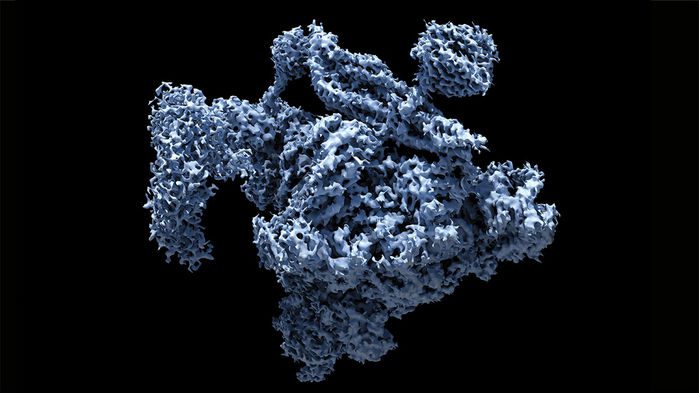 در سال 2015، کرایو-الکترون توانست spliceosome (کمپلکس بزرگی که ماده‌ی بدون کدشونده‌ی RNA را پیرایش می‌کند) را نقشه‌بندی کند.
