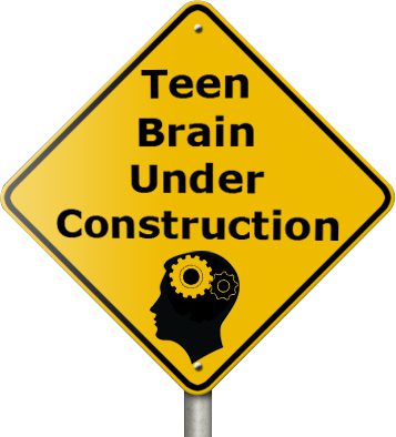 Teen Brain Under Construction