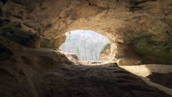 محققان ژنوم 50,000 ساله‌ی زن نئاندرتال غار ویندیجا را توالی‌یابی کردند. 
