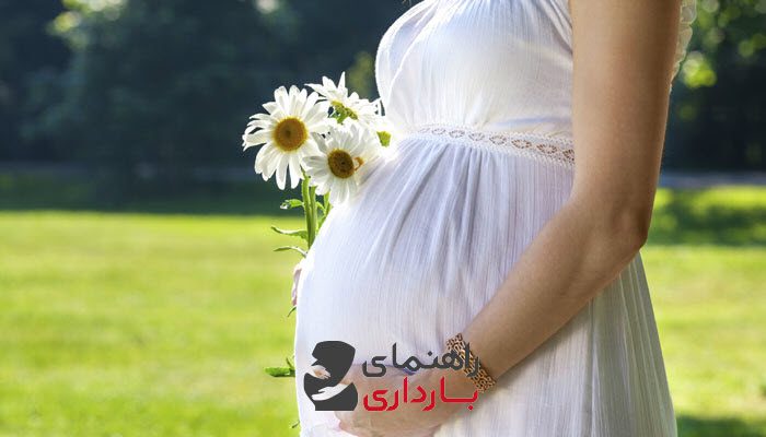 راهنمای بارداری