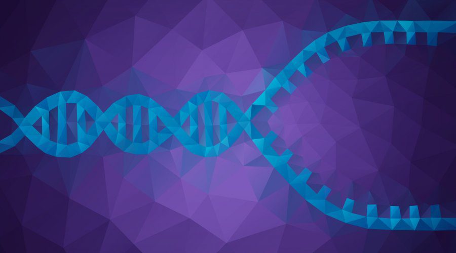 همانندسازی DNA