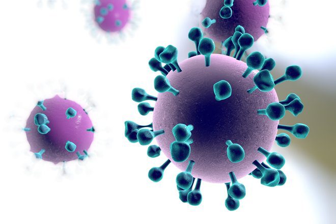 مولکول هماگلوتینین در سطح ویروس انفولانزا