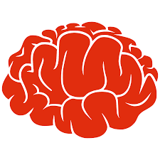 Orange brain