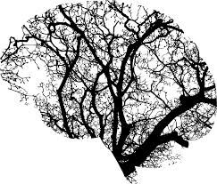 Brain tree