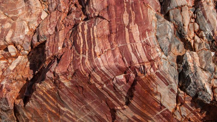 فسیل‌های 3.5 میلیارد ساله در غرب استرالیا (Apex Chert) پیشنهاد می‌کنند اجتماعات پیچیده‌ی باکتریایی حتی پیش‌تر از این زمان در آن جا حضور داشته‌اند. Graeme Churchard/Flickr/CC-BY 2.0