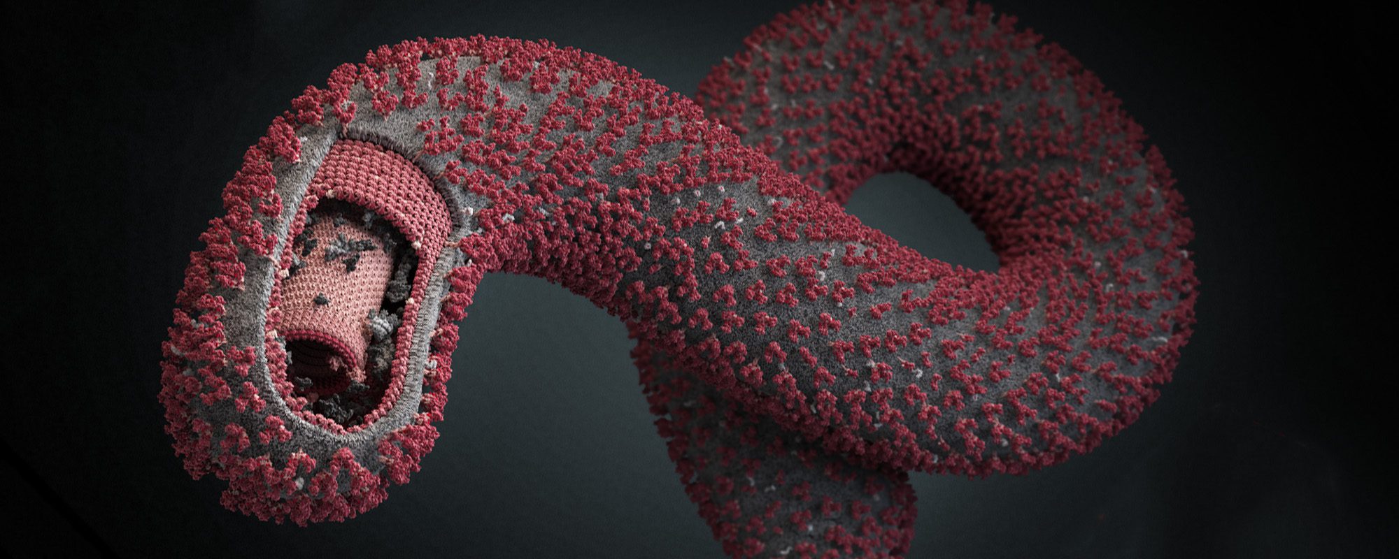 مهار ویروس ابولا