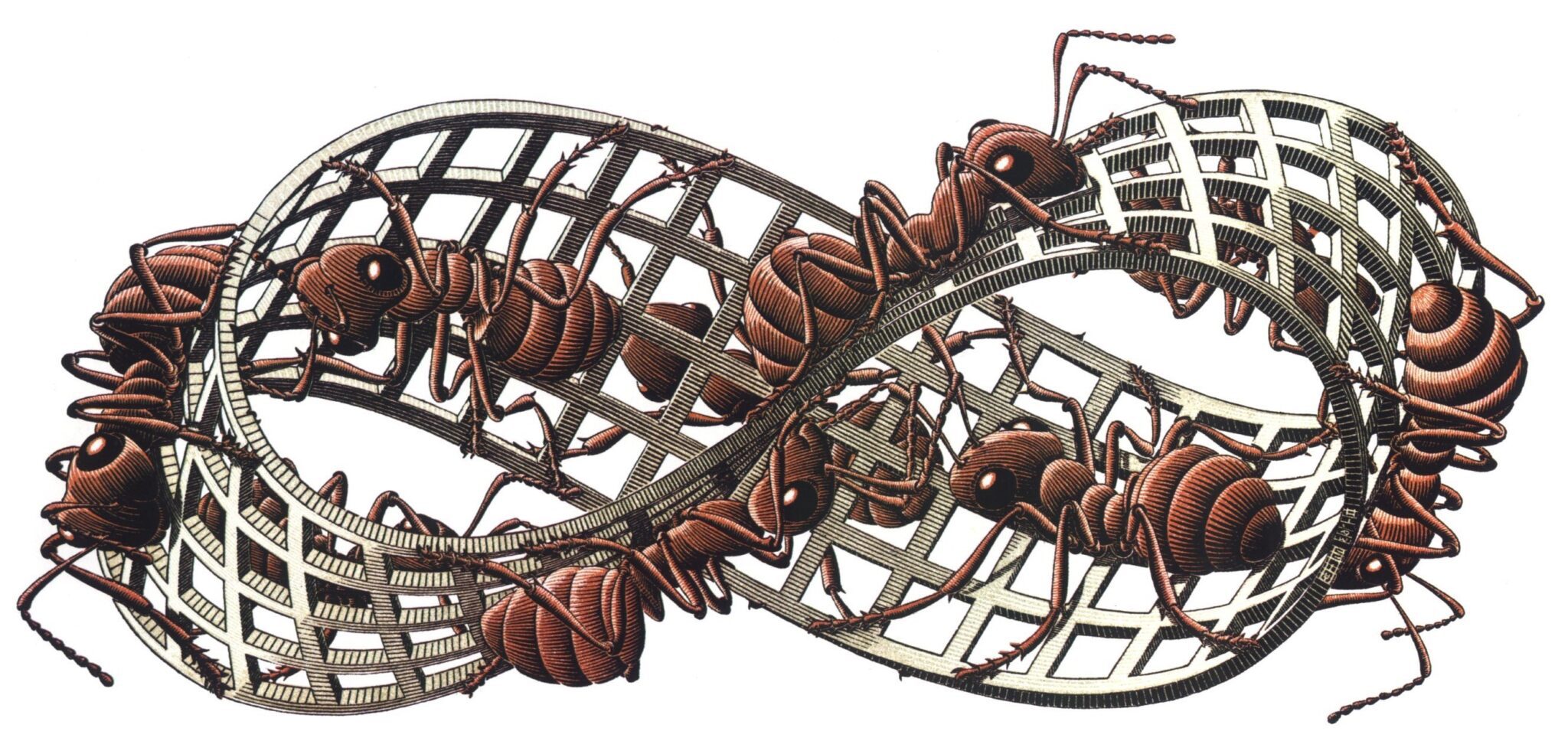 نوار موبیوس نواری است که دو لبه آن بر هم قرار گرفته و حلقه‌ای را بوجود می‌آورد.