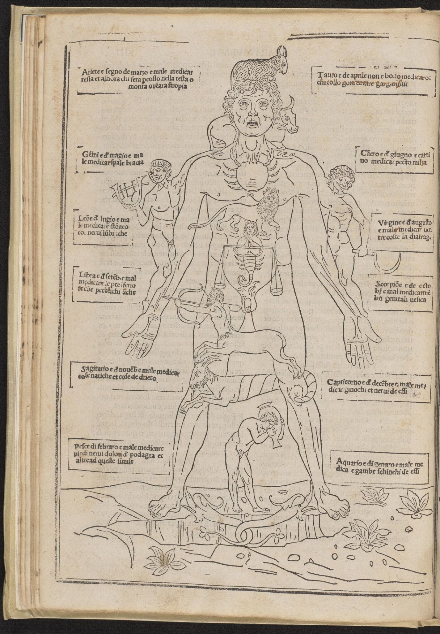 پزشکی در قرن ۱۶