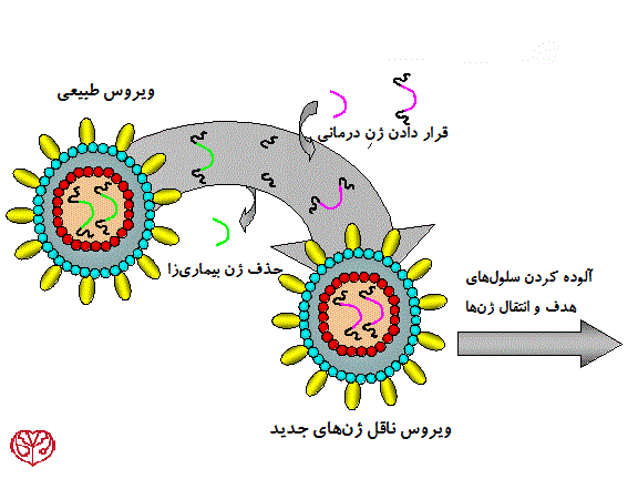 وکتورهای ویروسی