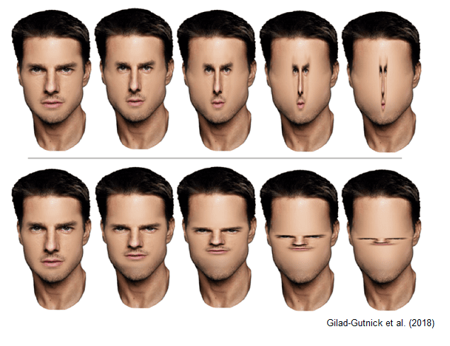 تشخیص چهره