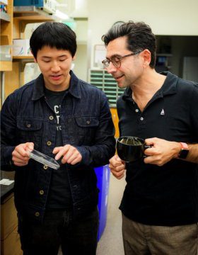 Wei-Zheng Zeng and Ardem Patapoutian led the study at Scripps Research