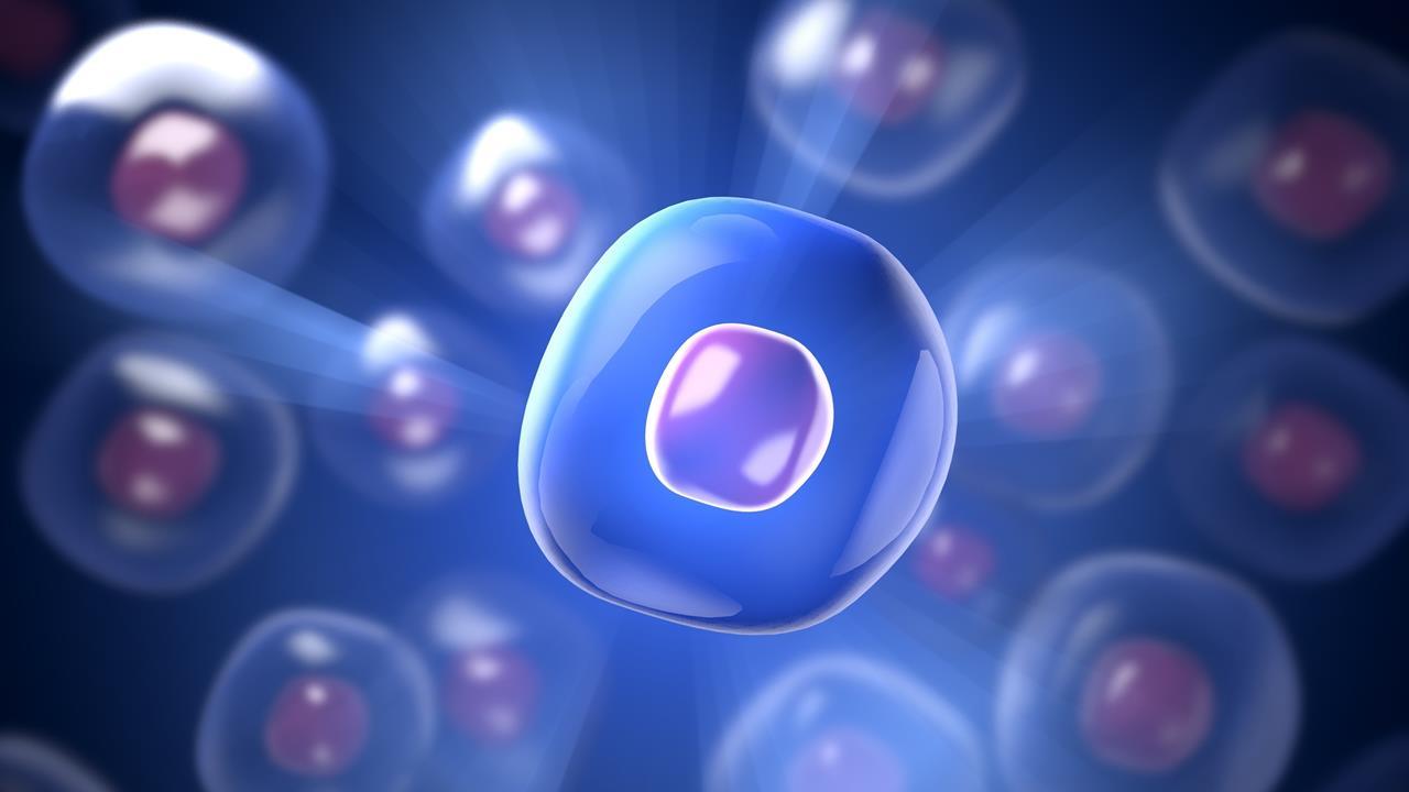 سلول مصنوعی با توانایی فتوسنتز