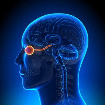 تحریک عصب بینایی به درمان نابینایی کمک می‌کند!