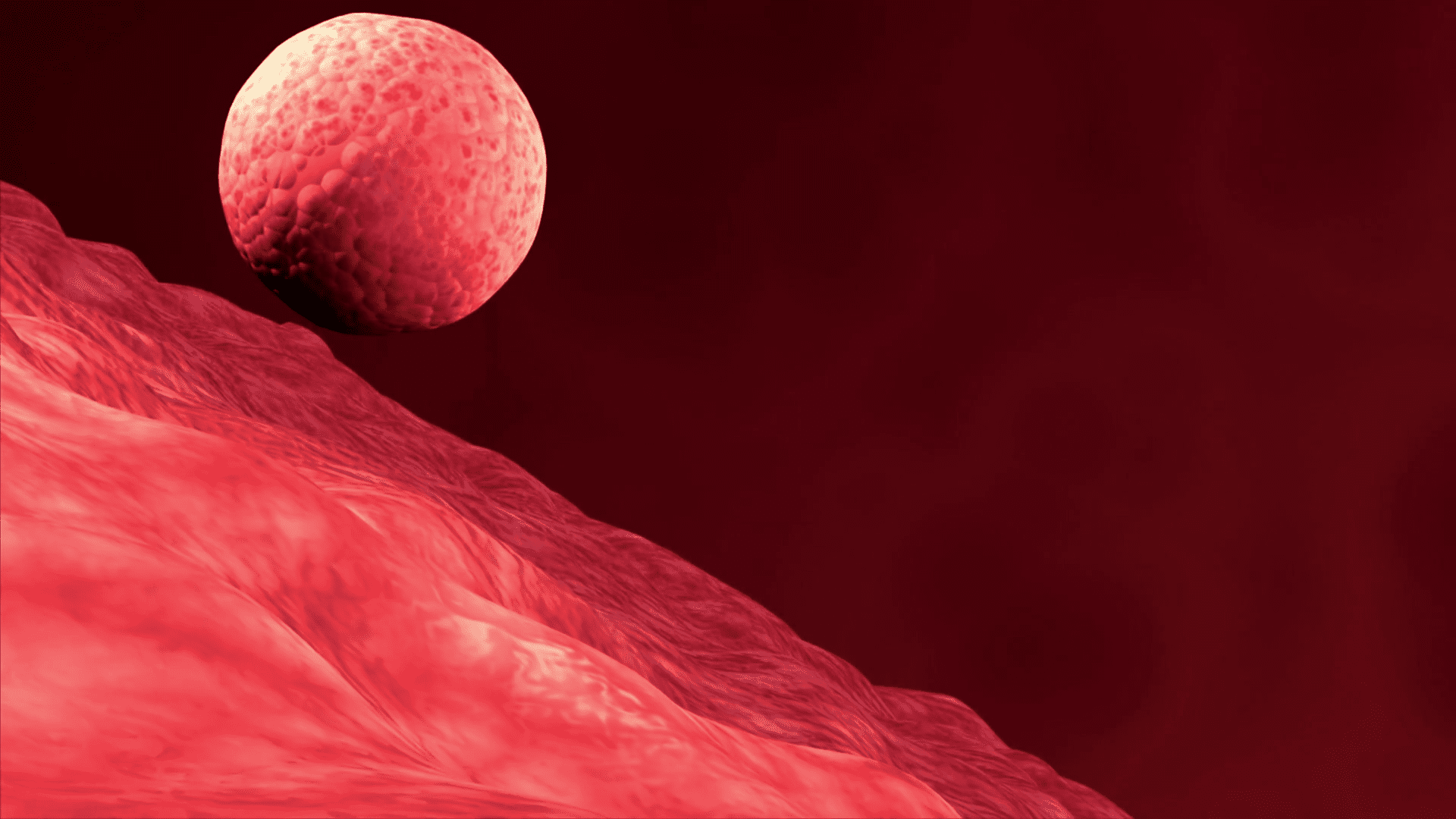 فرایند لانه گزینی رویان در اندومتر مادر چگونه انجام می‌گیرد؟ دکتر مجازی