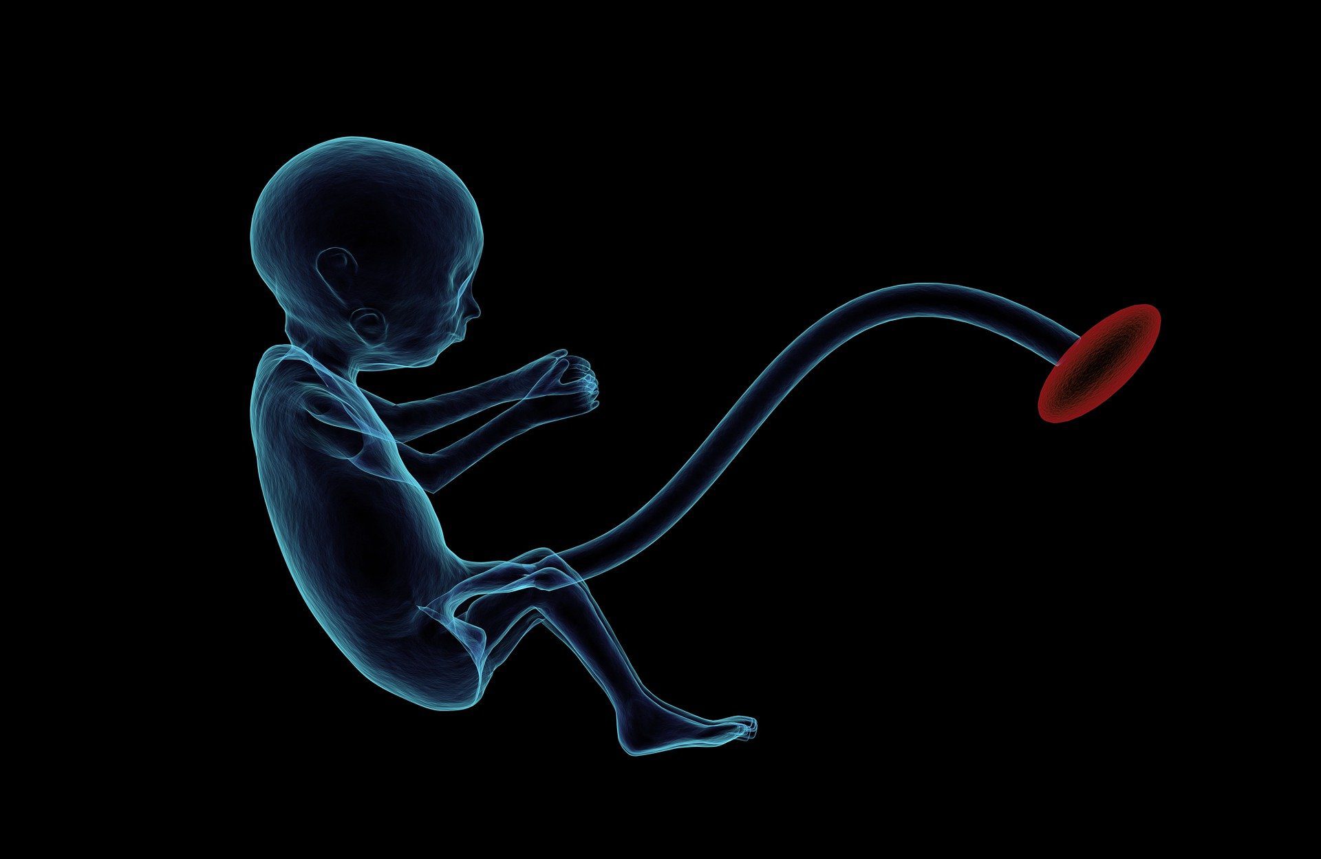 میکروبیوم در جنین