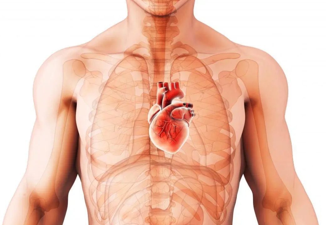 diagram-of-stomach-and-abdomen