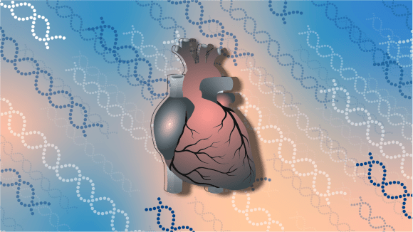 Genetics of cardiovascular disease