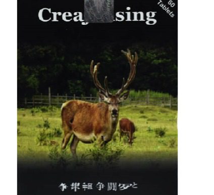 قرص جینسنیگ اصل