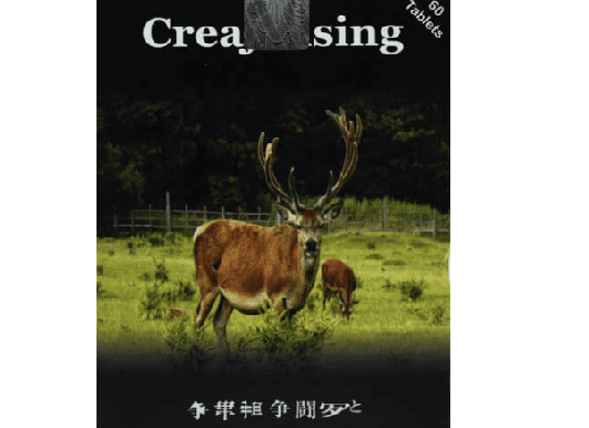 قرص جینسینگ افزایش وزن اصلی